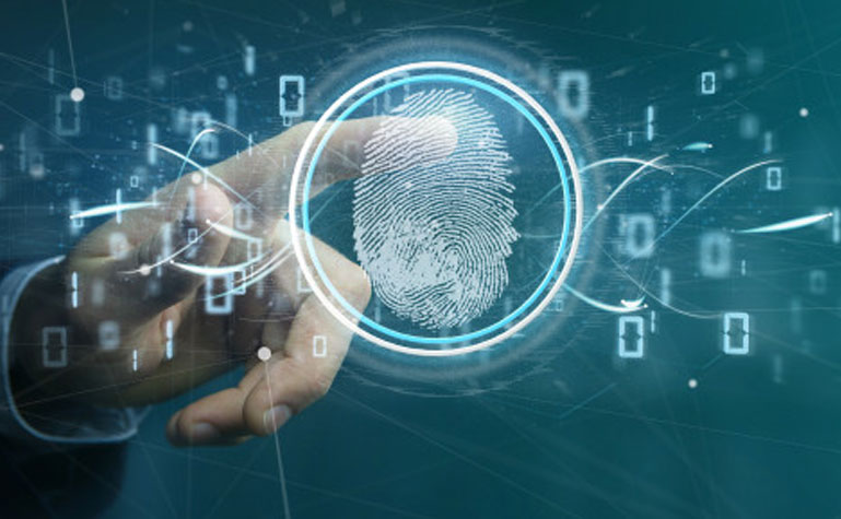 Privacidad digital: cómo evitar que rastreen tu actividad en internet